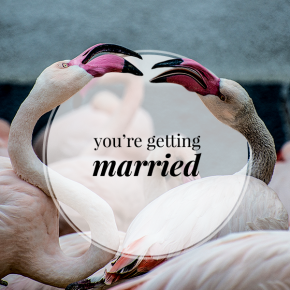 Style Saboteur - You're Getting Married