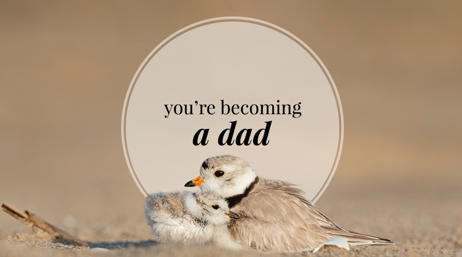 You're Becoming a Dad