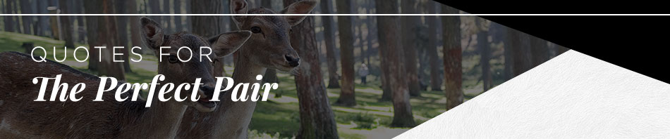 two deer standing side by side in a forest with dark overlay and text reading 'quotes for the perfect pair'