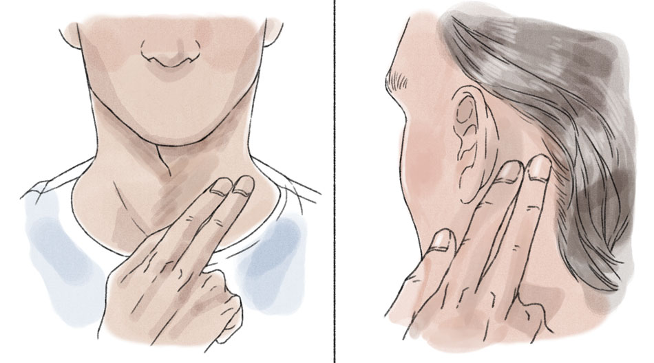 two fingers against the pulse point on a neck and a person with two fingers behind the ear
