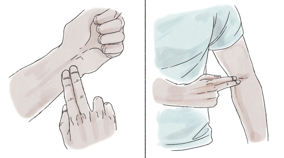 two fingers on inside wrist and two fingers on the inner elbow
