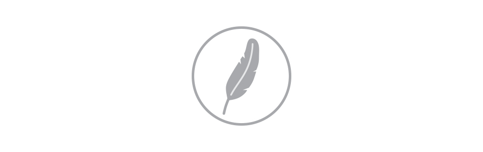 feather icon